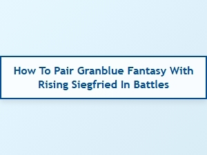 How to Pair Granblue Fantasy with Rising Siegfried in Battles